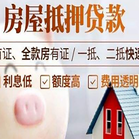 庆元贷款助贷公司新渝启服靠谱公司